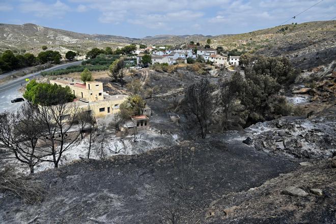 Sánchez visita las zonas afectadas por el incendio de Los Gallardos