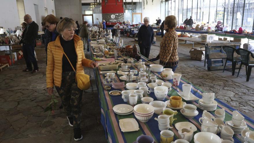 La Protectora hace un llamamiento a la esterilización y adopción de gatos