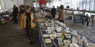 La Protectora hace un llamamiento a la esterilización y adopción de gatos