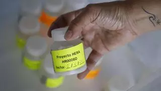 El proyecto cordobés Hera para la detección del cáncer de mama posparto consigue la participación de más de 25.000 mujeres
