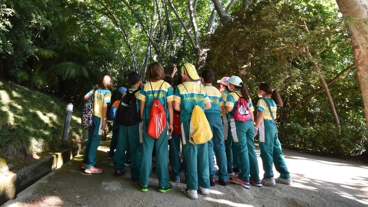 El campamento del Botánico de la Concepción está digirido a niños de entre 4 y 16 años.