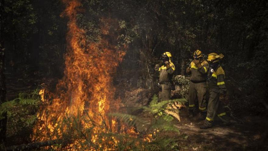 Los incendios de Laza y Chandrexa, en Ourense, se unen en un gran fuego que arrasa 2.100 hectáreas