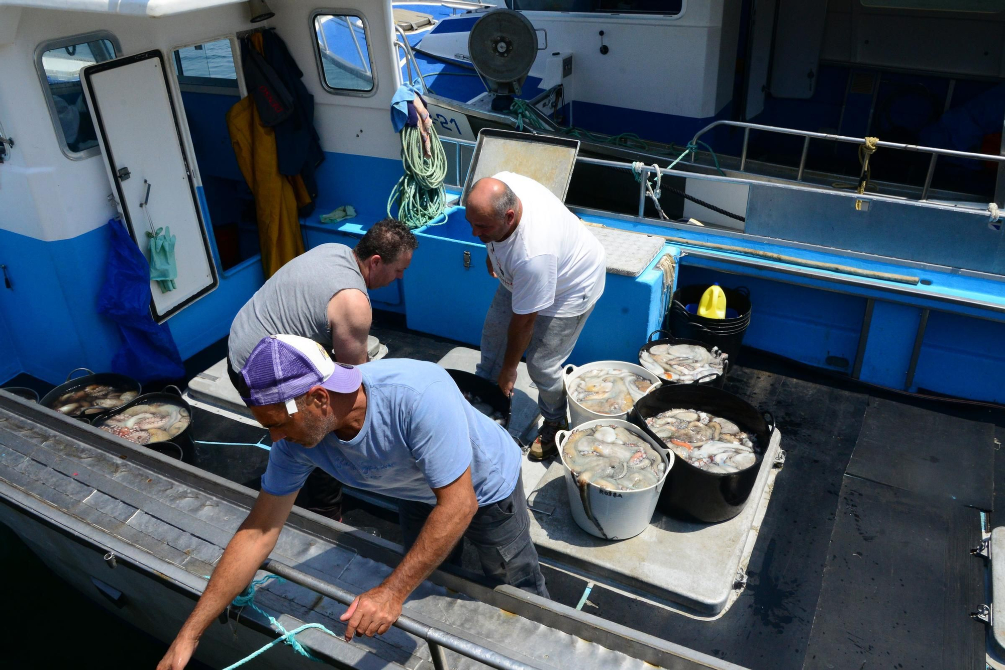 El inicio de la campaña del pulpo en el puerto de Bueu