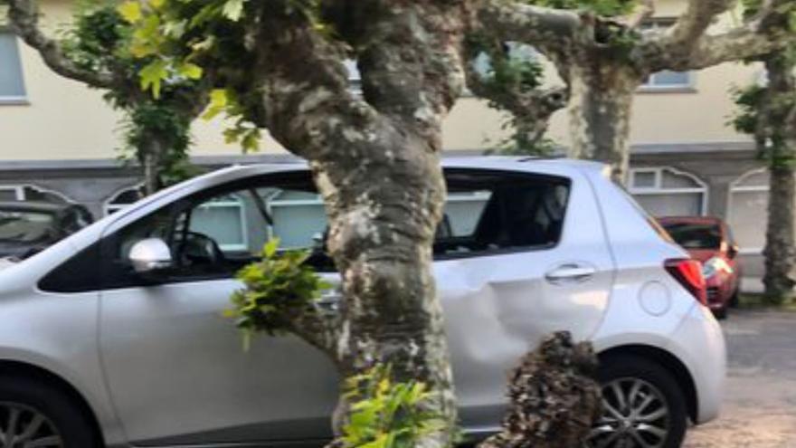 El Concello cambrés manda inspeccionar los árboles tras caer uno sobre un coche