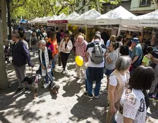 El gran aparador del teixit econòmic i social del Solsonès