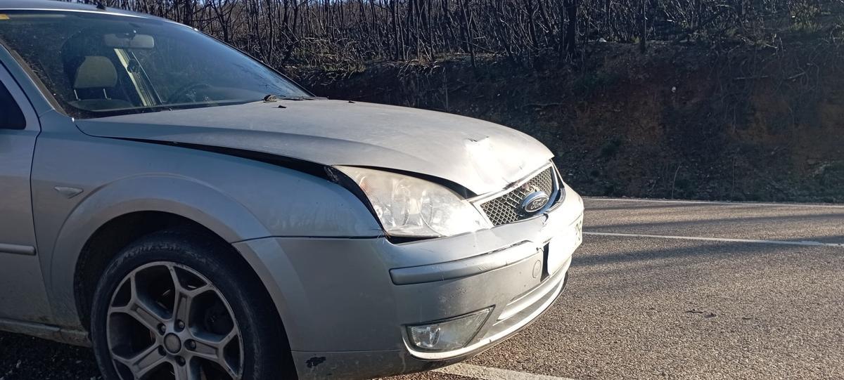 Estado del vehículo tras el accidente de fauna.