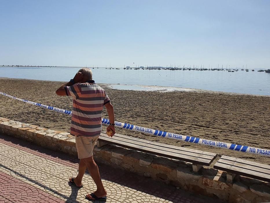 Mar Menor, una laguna sin vida