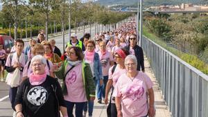 Séptima marcha contra el cáncer de Viladecans.