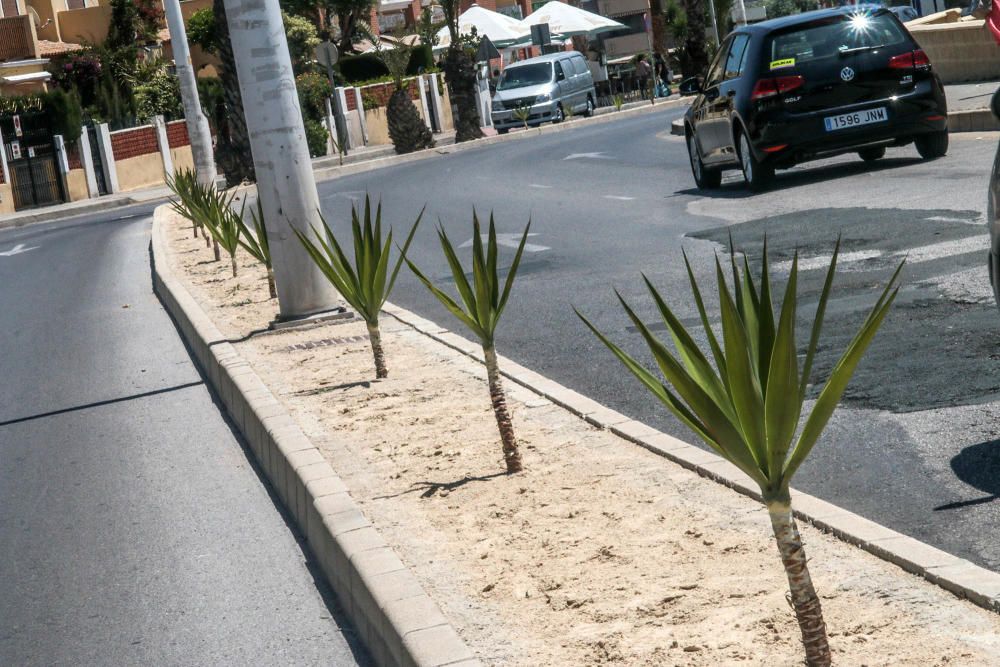 Deficiencias en Orihuela Costa