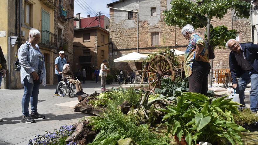 Santpedor en flor se centrarà enguany en les plantes autòctones i aromàtiques