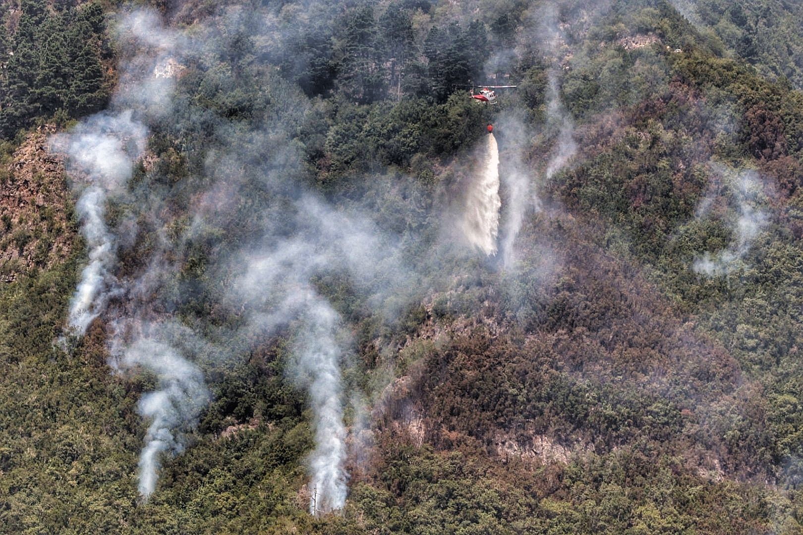 Labores de extinción del incendio en Tigaiga, Tenerife (26/07/2022)