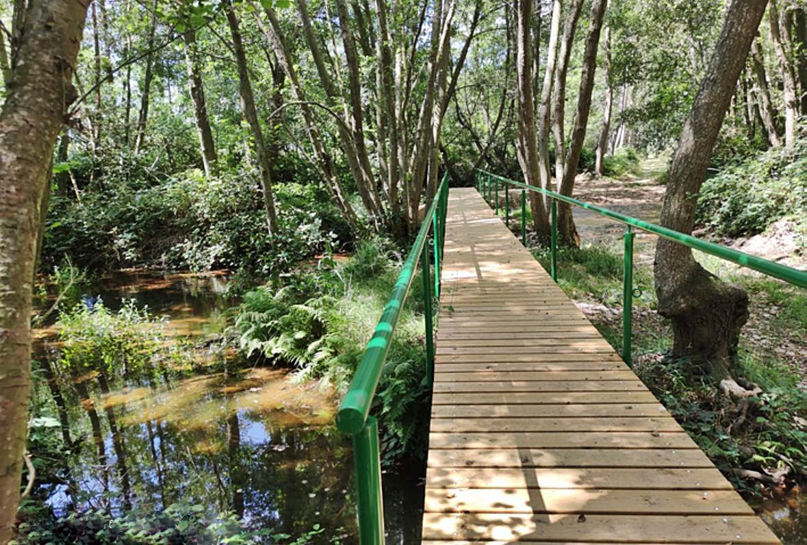 Nuevo puente dotado en la Ruta Santibañesa por el Tera, en la zona Manga-Fornos. | E. P.