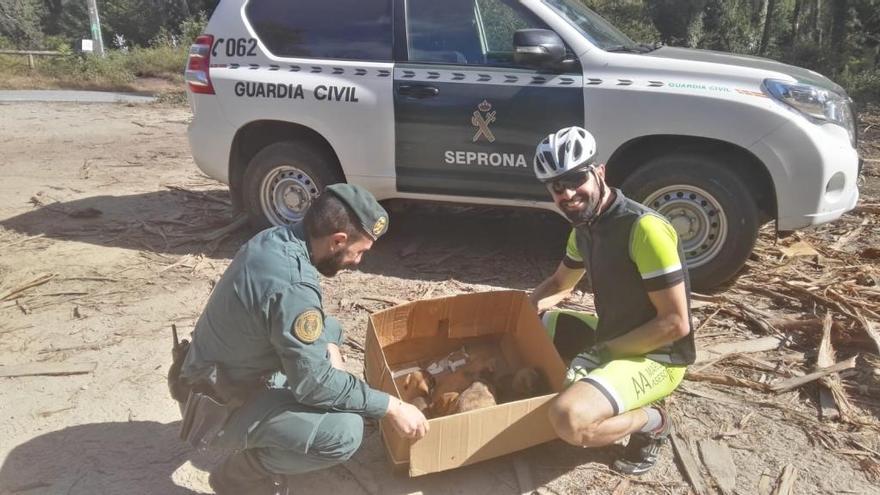 La entrega de los perros a la Guardia Civil