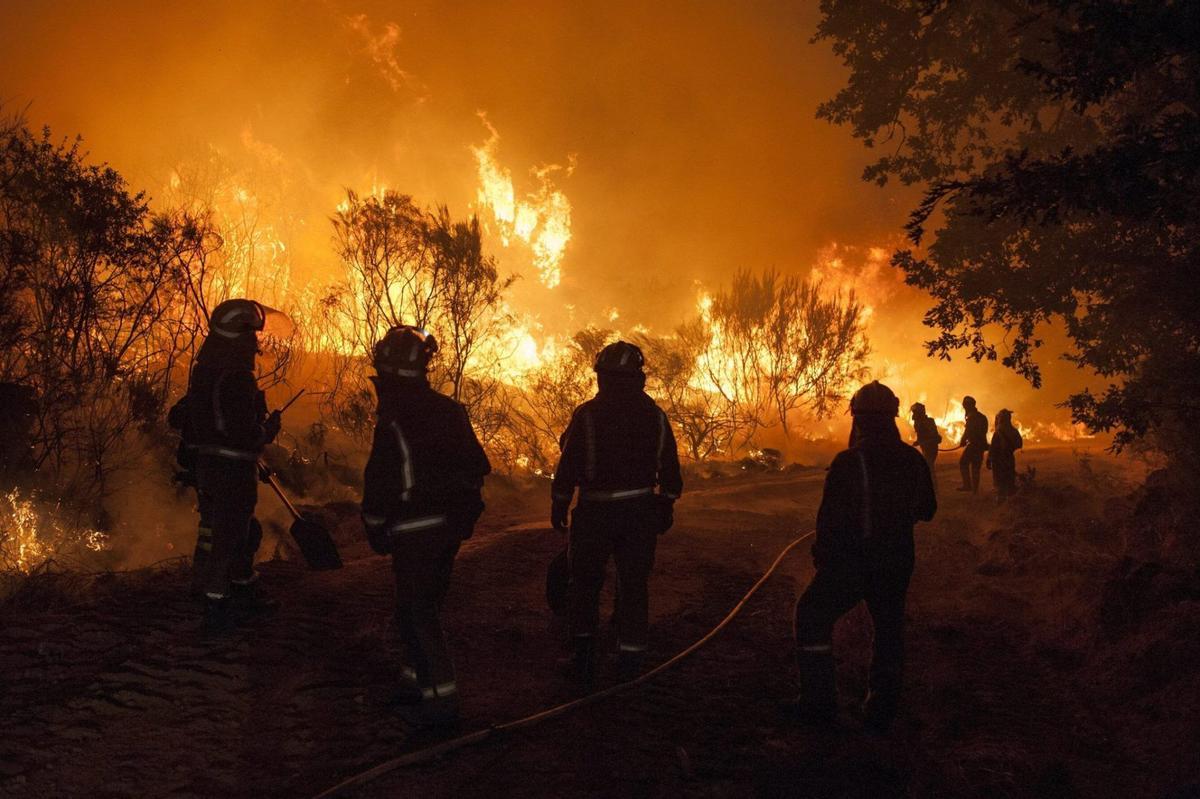 Brigadistas luchando contra un incendio forestal en Galicia el pasado verano.