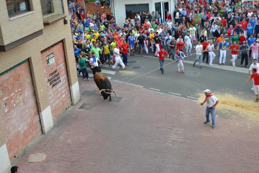 Enmaromado 2016: Así fue el Día Grande en Benavent