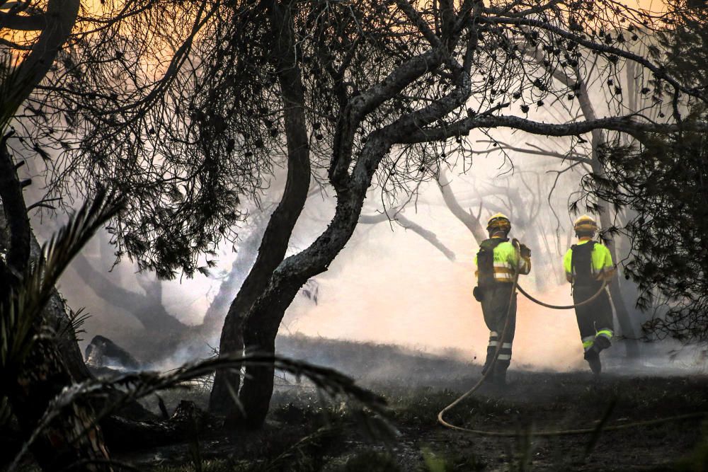 Tareas de extinción del incendio en Guardamar