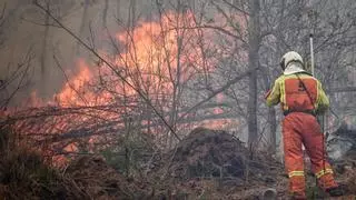 Continúan las labores de seguimiento de los incendios en seis municipios en Asturias