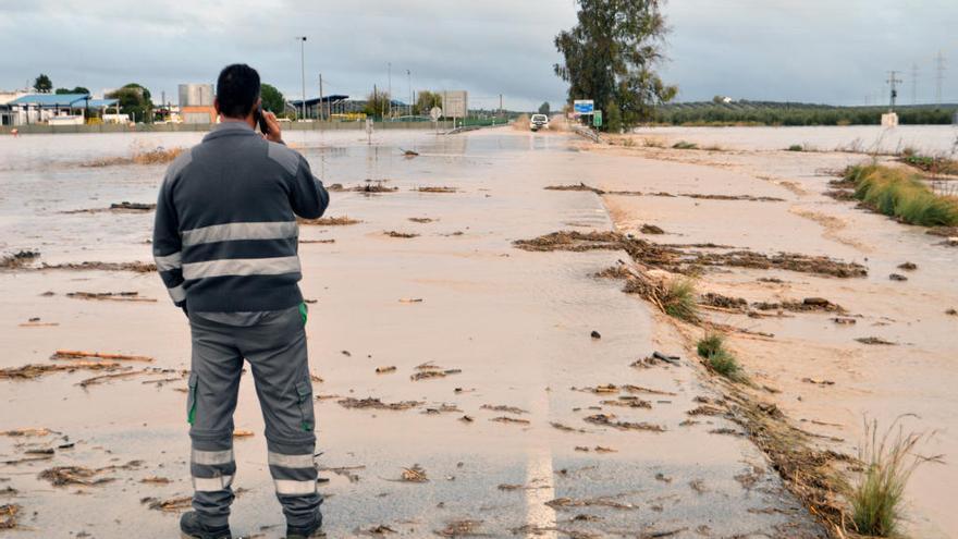 Estado de la zona inundada de Arahal