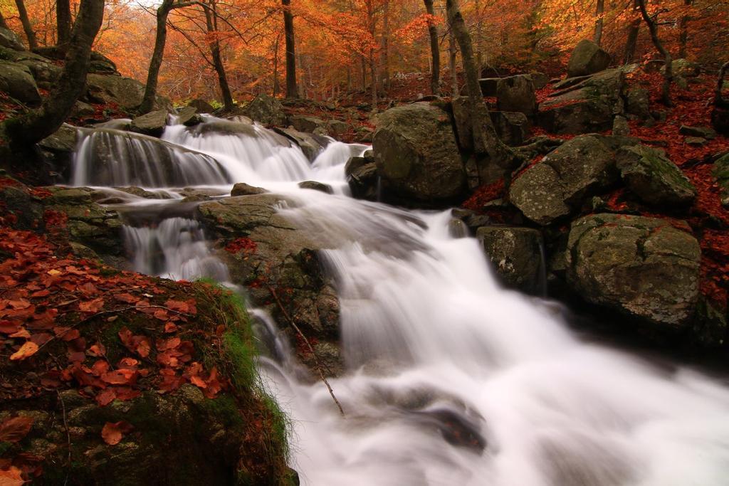 Estas son algunas de las vistas que tendremos a lo largo de todo el camino por el Parque Natural del Montseny