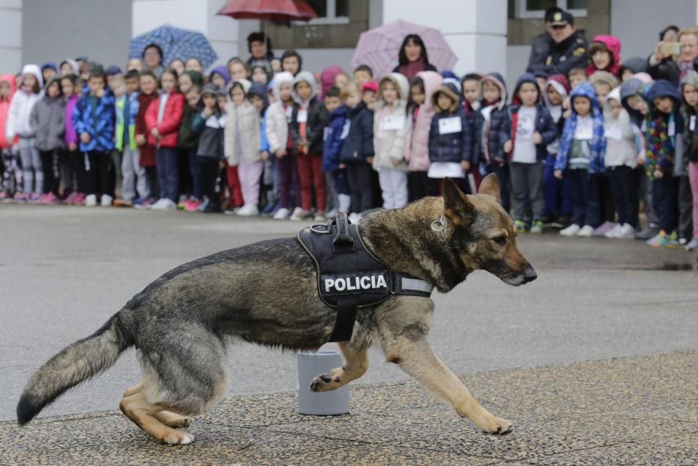 Exhibición policial para escolares.