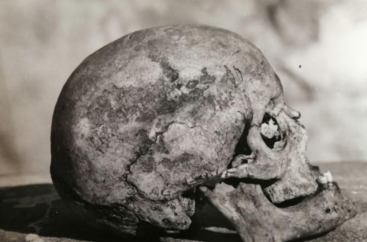 Los huesos de Jovellanos