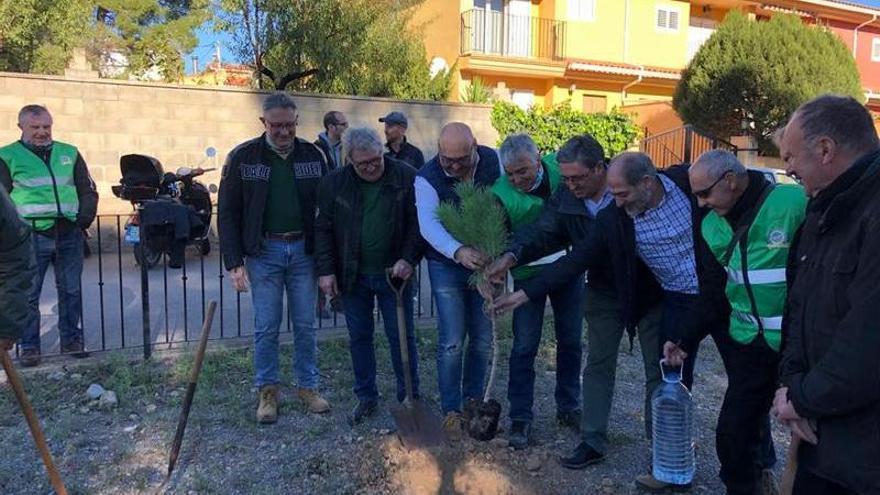 La plantación simbólica en el municipio de Bejís para visibilizar la ayuda que todavía esperan los vecinos de la zona afectada de este verano.