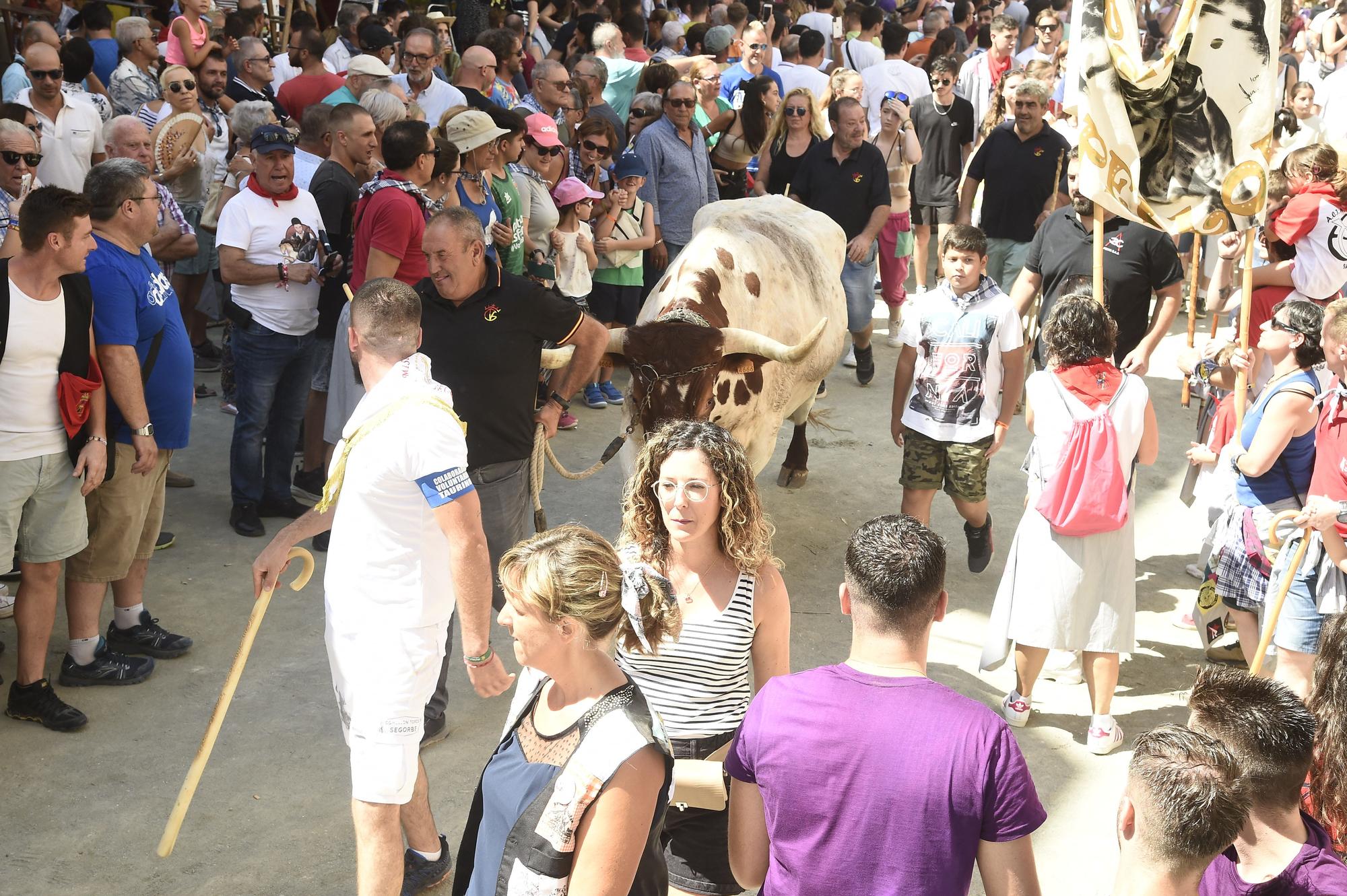 Las mejores fotos de la primera Entrada de Toros y Caballos de Segorbe tras la pandemia