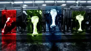 Arias recogerá leche hasta octubre y da más tiempo a los ganaderos para hallar alternativas