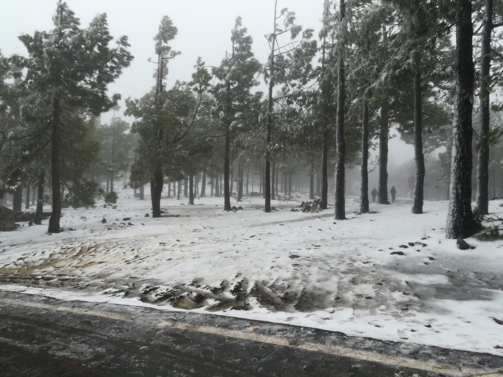 Nieva en Gran Canaria