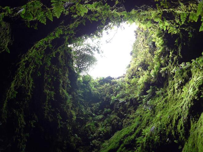 Algar do Carvão, destinos silenciosos