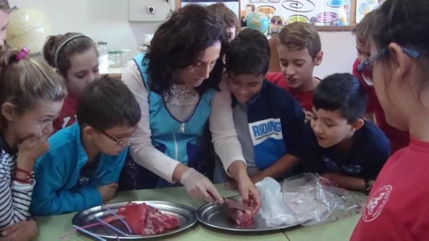 La lucha de un barrio hecha escuela