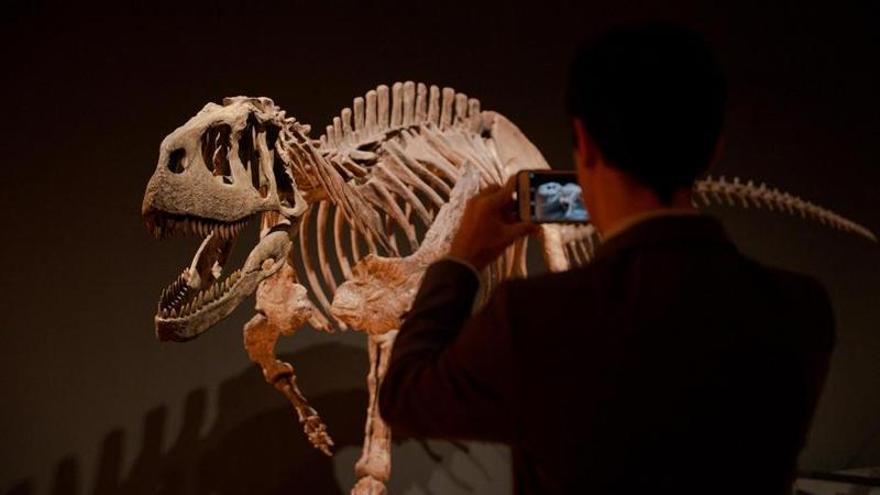 ¿Cómo eran los dinosaurios de la Patagonia?: Caixafórum Sevilla muestra restos de las especies que poblaron la tierra hace 200 millones de años