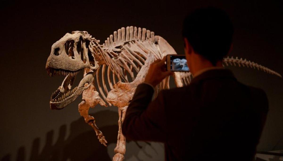 Réplica del Giganotosaurus carolini, dinosaurio que habitó la Tierra hace unos 112 millones de años.