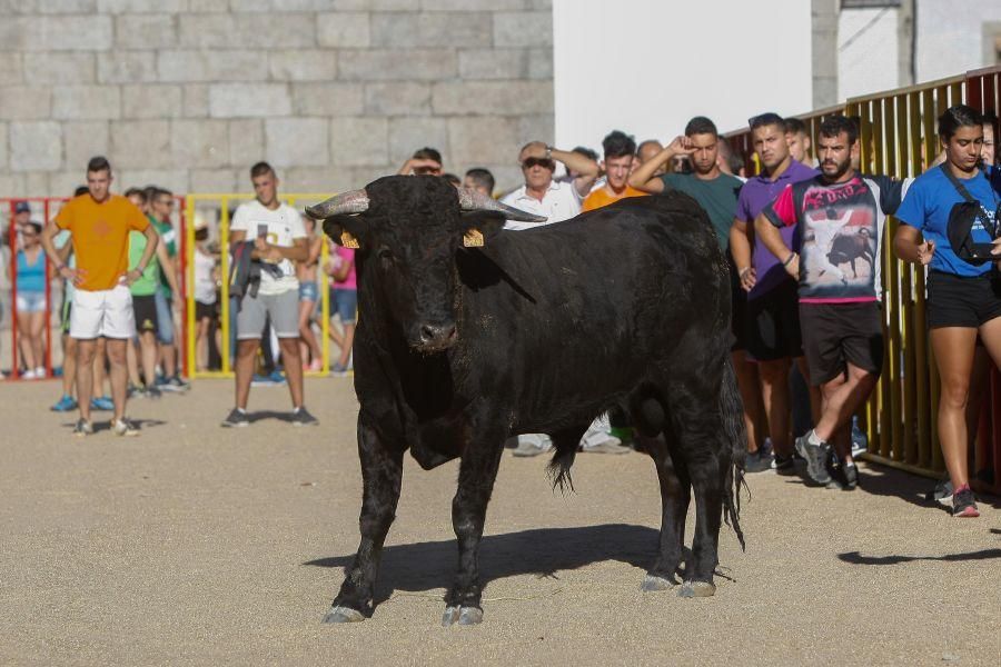 Encierro en Bermillo