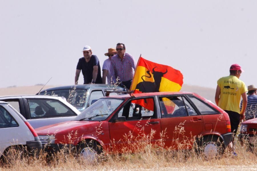 Fiestas en Zamora: Encierro campero en VIllaescusa