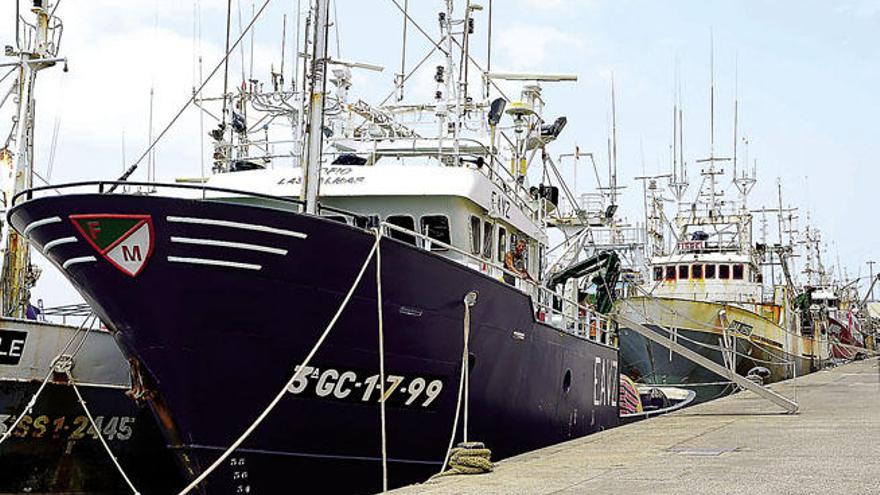 Barco de Freiremar en el Puerto de La Luz en puesta a punto para salir a faenar.