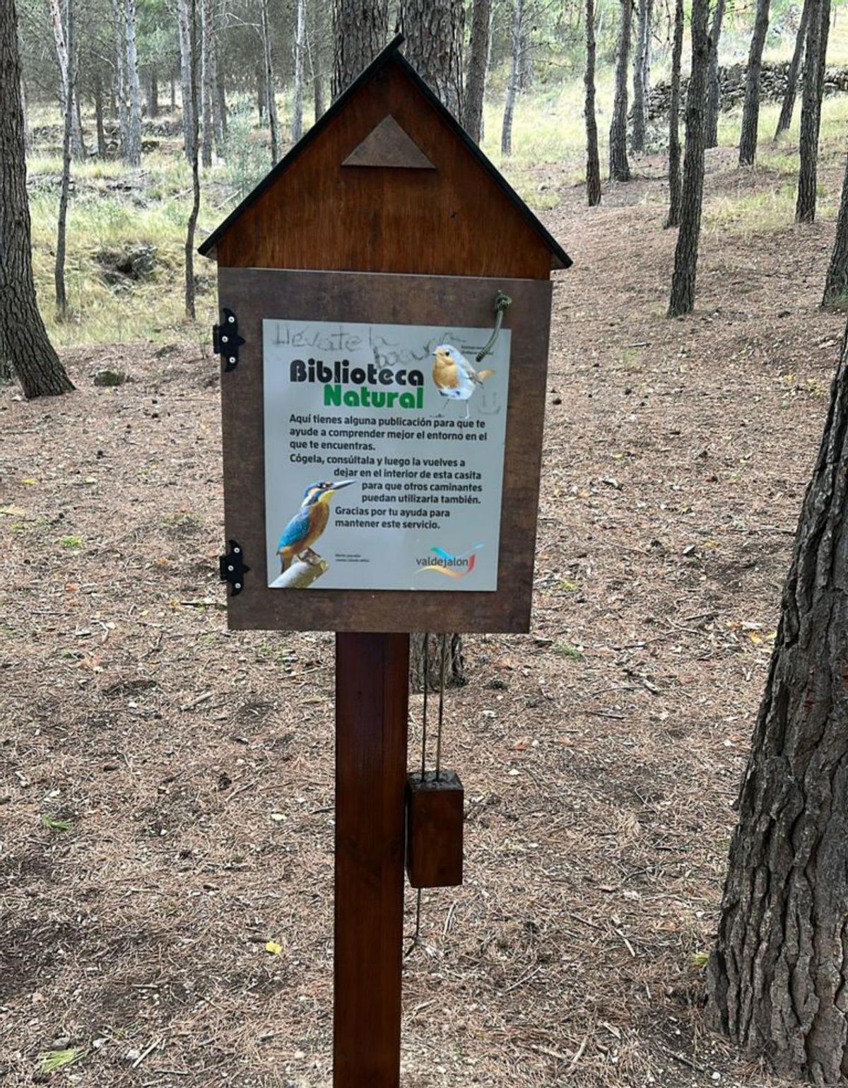La comarca pone a punto las cinco bibliotecas naturales  | SERVICIO ESPECIAL
