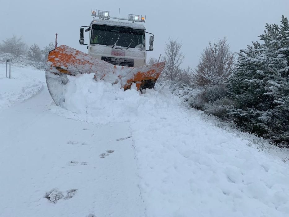 Efectos del temporal de nieve en Sanabria