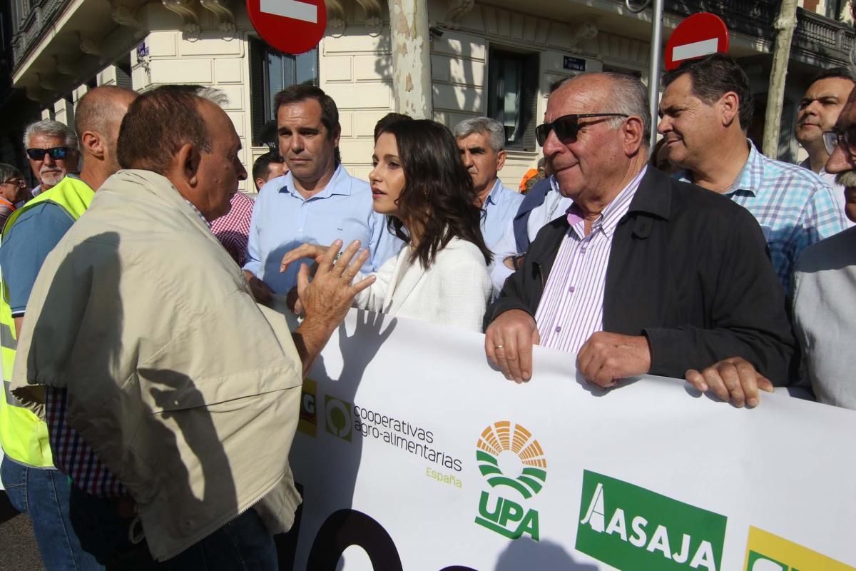 Córdoba se suma a la gran manifestación del olivar en Madrid