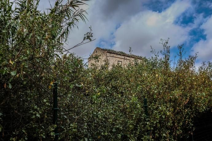 Las Palmas de Gran Canaria. yacimiento Lomo de San Gregorio, Ciudad del campo.  | 28/03/2019 | Fotógrafo: José Carlos Guerra