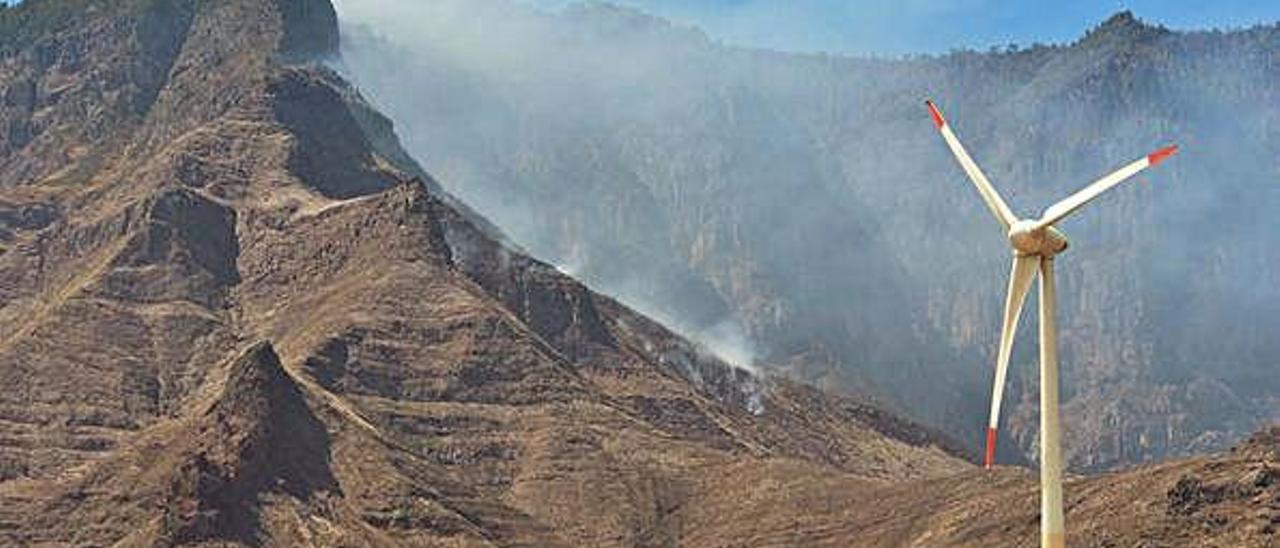 Las columnas de humo en los focos activos en el Parque Natural de Tamadaba.