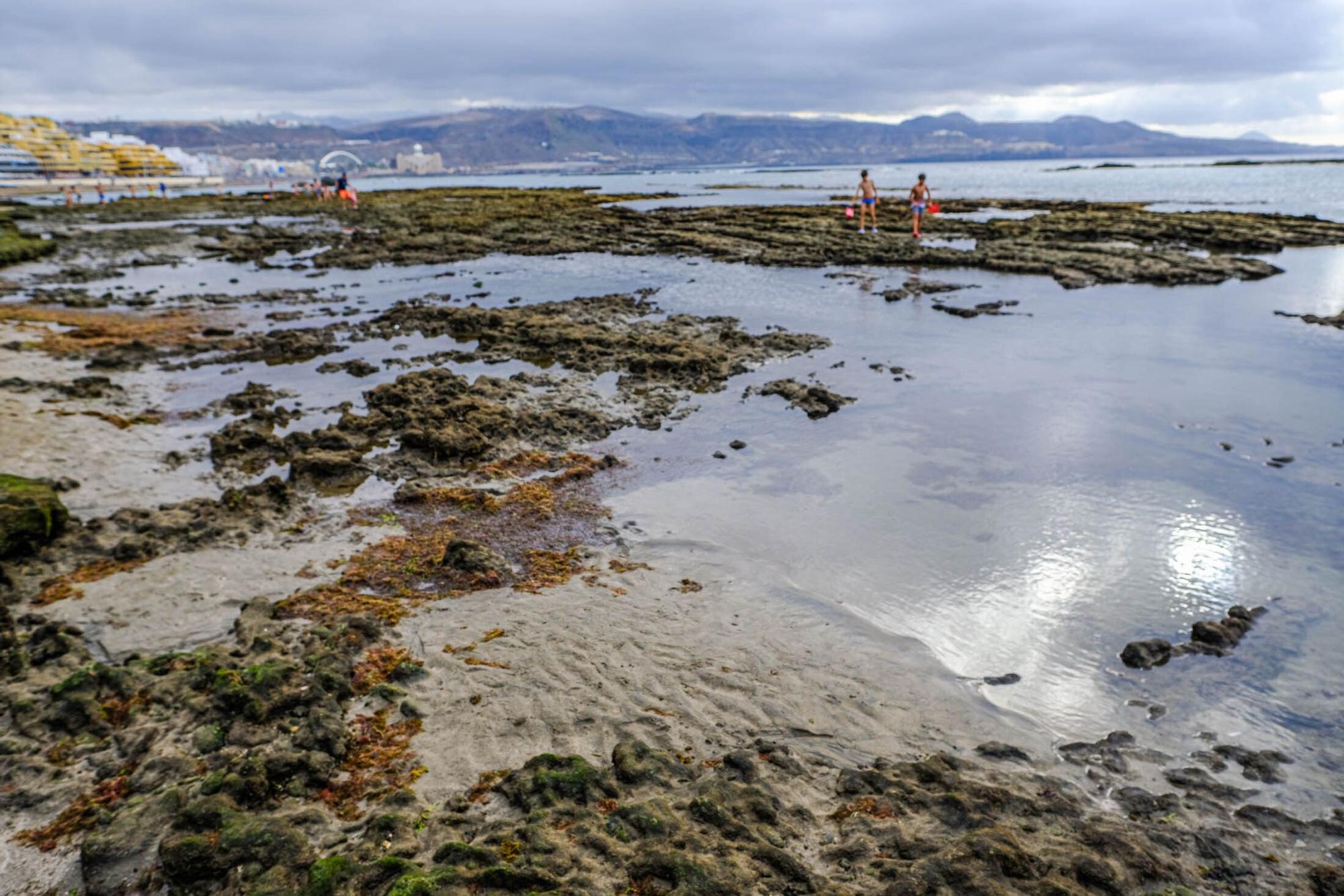 Playas fósiles de Las Canteras