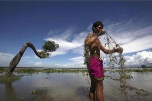 Un agricultor captura peix en els inundats camps d’arròs a l’est de Gauhati, Índia.