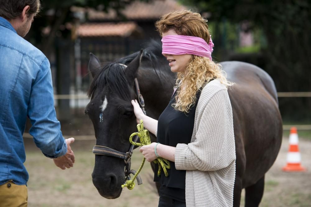 'Coaching' con caballos para empresarios