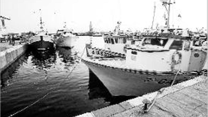 Barques al port de Palamós en el primer dia de veda de gamba.