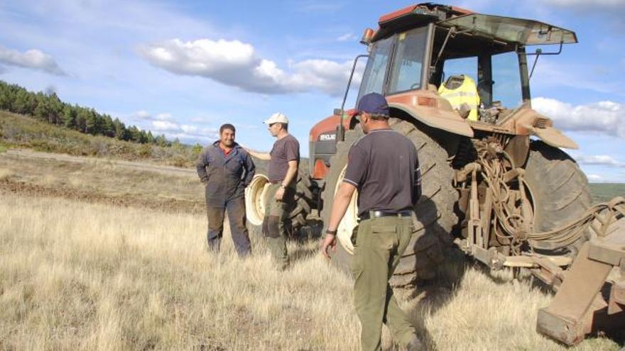 Un grupo de cazadores cultiva un campo en beneficio de la perdiz.