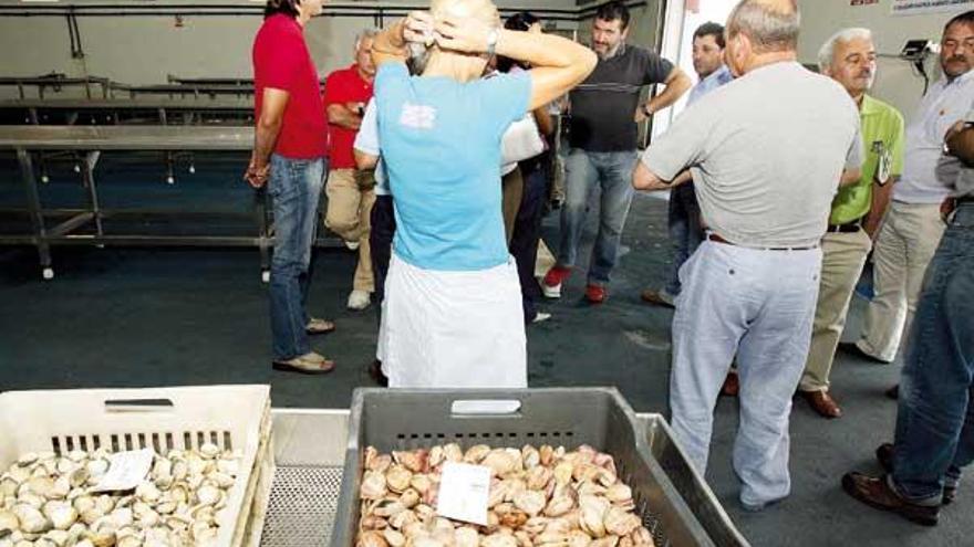 Venta de marisco en la Lonja de Vigo.