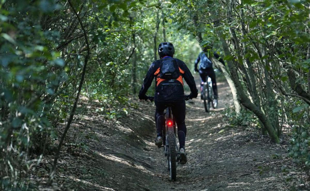 Collserola ja s’obre per a activitats en grups petits