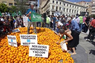 Miles de agricultores protestan en Alicante contra el recorte del Tajo-Segura: "Todavía queda partido"