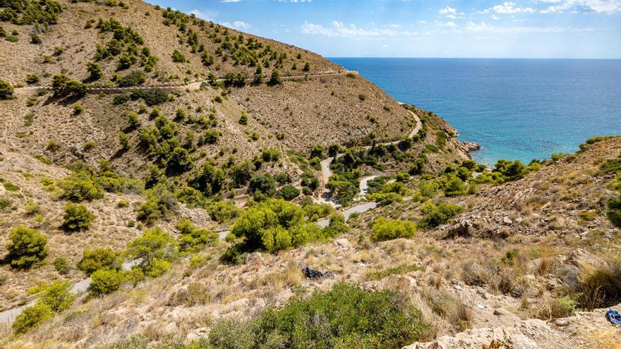 Condena histórica en Benidorm